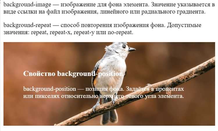 Как настроить размеры фона в CSS