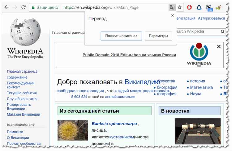 Как запретить автоматический перевод через браузер с помощью JavaScript