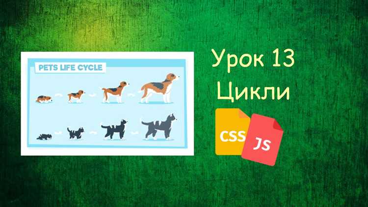 Прерывание циклов: break и return в практике
