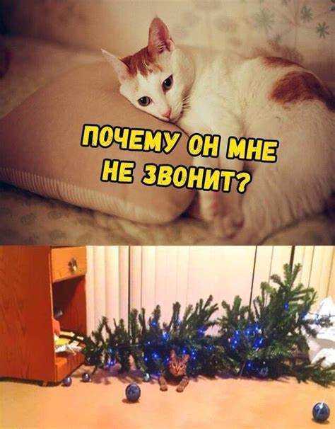 Множество устаревших функций и их поддержка