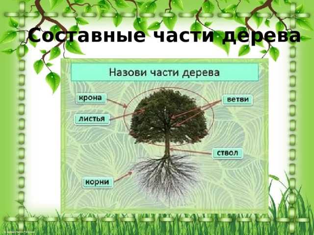 Разделение приложения на компоненты позволяет значительно упростить повторное использование элементов интерфейса в различных частях проекта. Это уменьшает дублирование кода и повышает гибкость в разработке. Например, если создать компонент кнопки, его можно использовать не только на страницах с формами, но и в меню, модальных окнах или уведомлениях. Таким образом, компонент становится универсальным инструментом для разных частей интерфейса.
