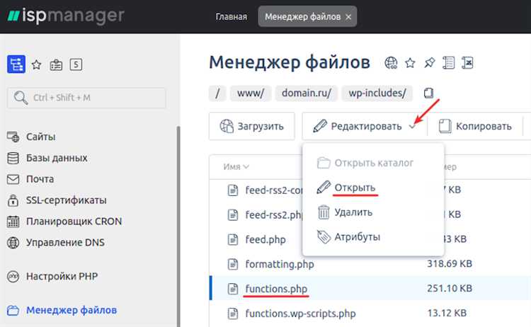 Как добавить javascript на сайт