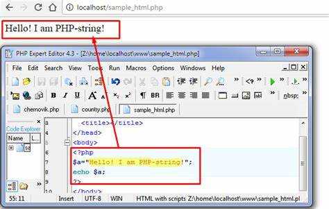 Создание папки проекта в каталоге WebServers\home