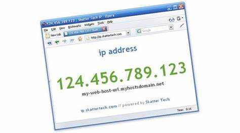 Как получить IP адрес пользователя за пределами локальной сети