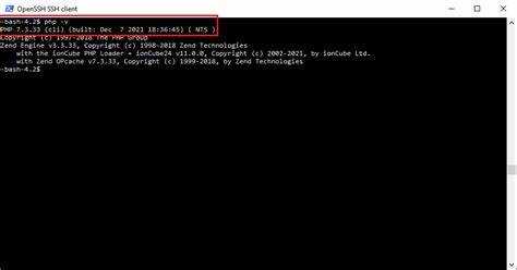 Проверка работы сайта после установки index.php как главной страницы