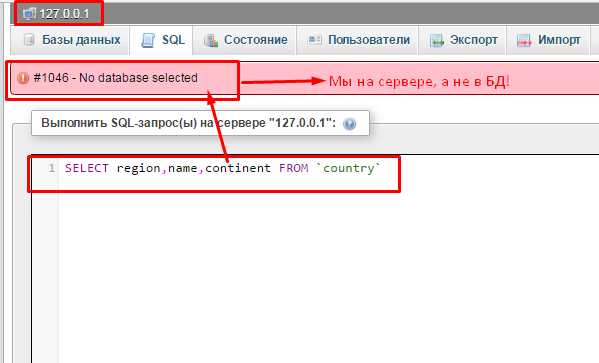 Как вывести данные из базы данных mysql php