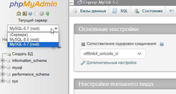 Как найти и открыть phpAdminer в OpenServer