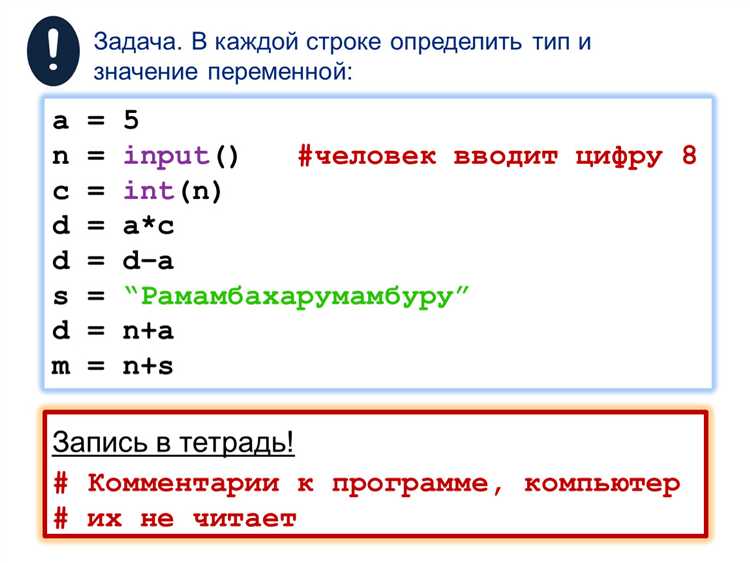 Что такое int input в python