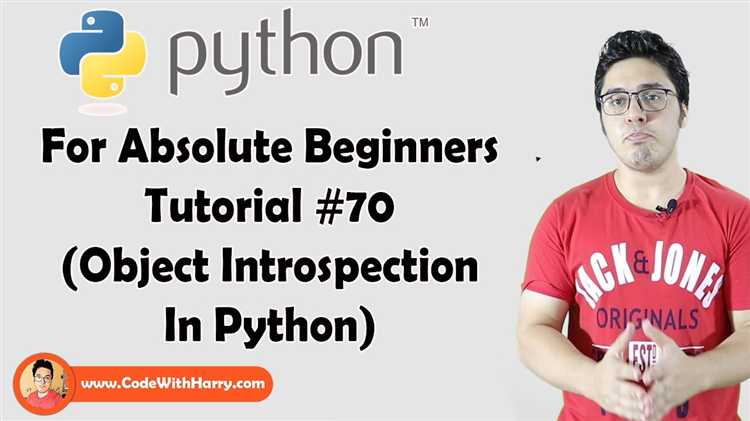 Что такое introspection python