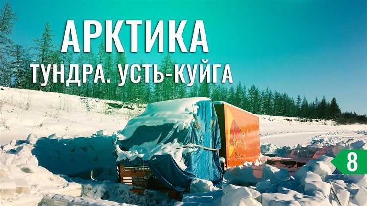 Как китайская полиция и инспекторы проверяют российские грузовики