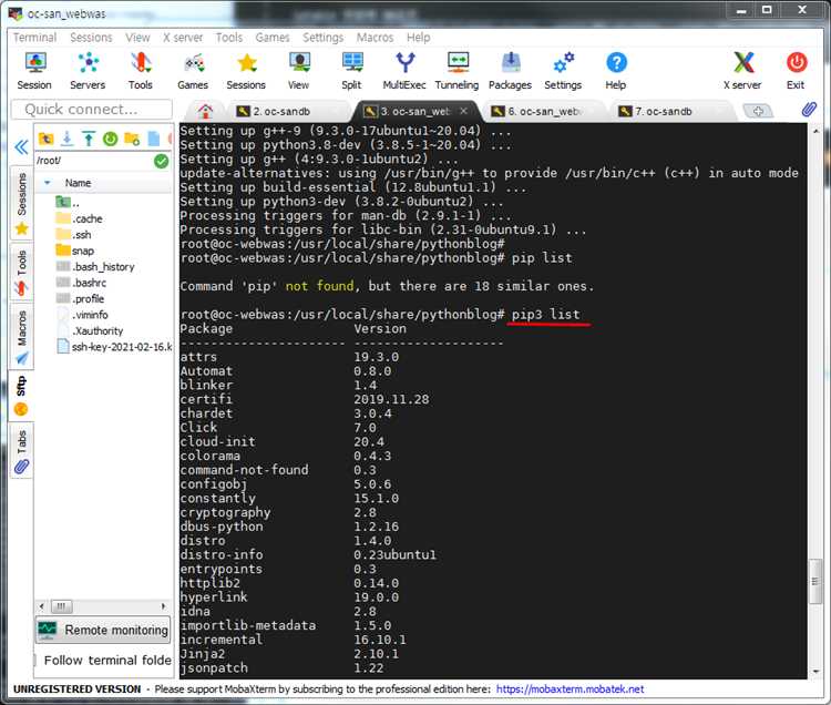 Запуск pip в Linux и macOS через терминал
