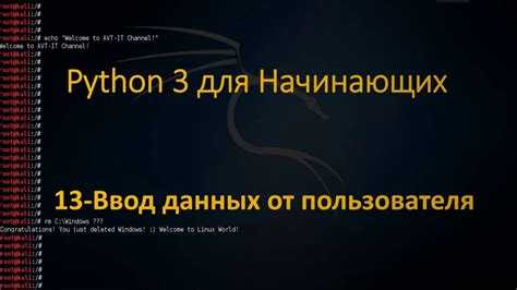 Как получить имя пользователя python