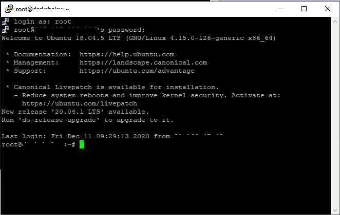 Автоматизация запуска Python бота при старте сервера