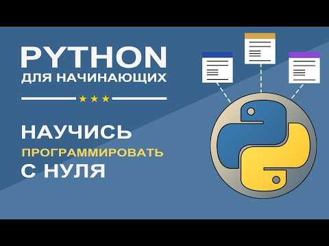 Понимание структуры программы на Python: как распознавать основные элементы кода