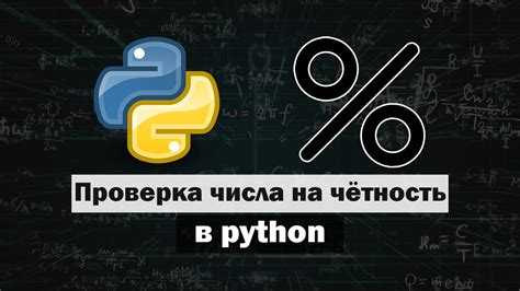 Использование функции isinstance() для проверки типа данных