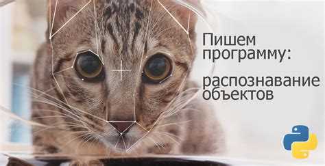 5. Заключение