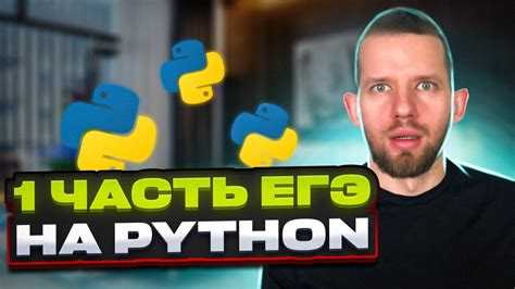 Основные темы экзамена по информатике: что важно знать по Python
