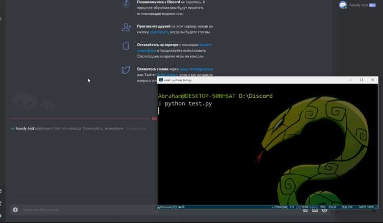 Авторизация бота через Discord Developer Portal и получение токена
