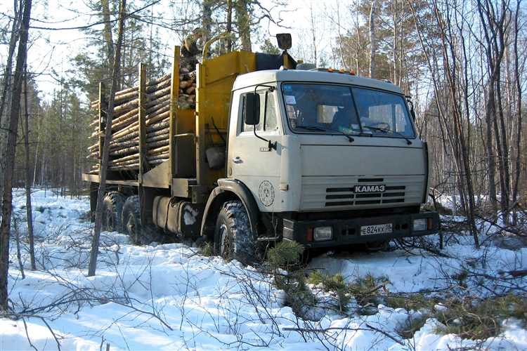 Как шоссейные камазы возят лис пермь