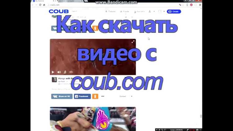 Получение API-ключа для доступа к видео на Coub