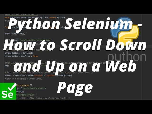 Как скролить в selenium python Как скролить в selenium python