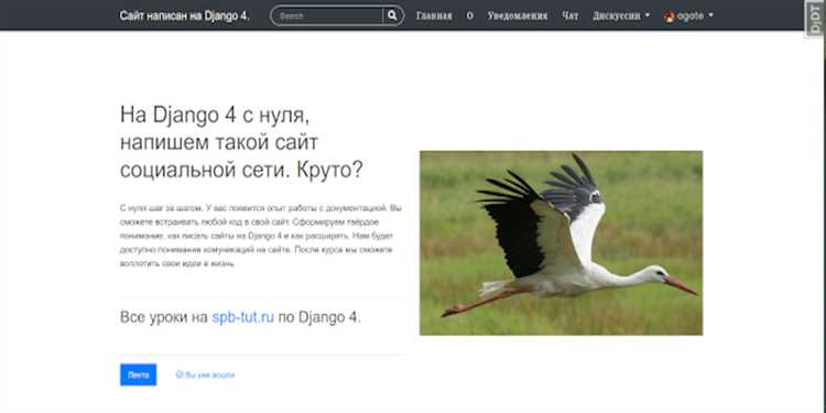 Как создать сайт на python django с нуля