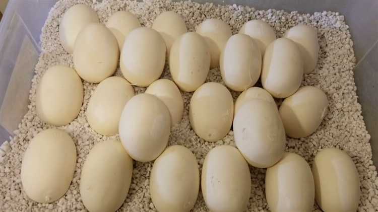 Как установить egg файл с помощью pip