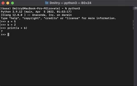 Шаг 3: Установка pip для управления пакетами
