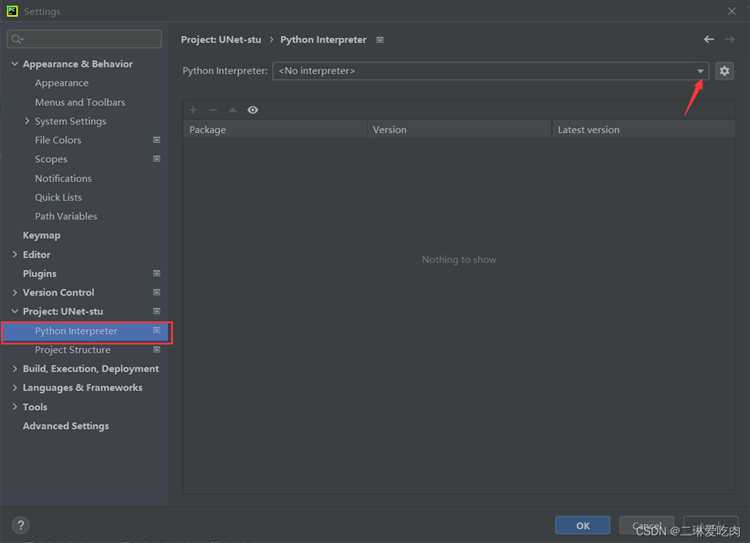 Настройка интерпретатора через настройки PyCharm