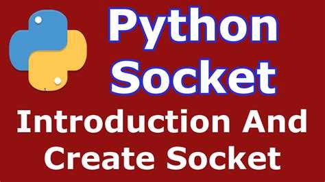 Проверка наличия модуля socket в стандартной библиотеке Python