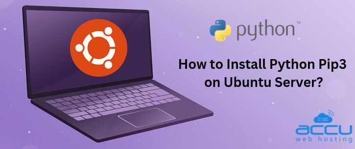 Проверка наличия Python и pip3 перед установкой
