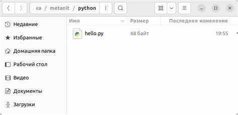 Настройка виртуальной среды для Python
