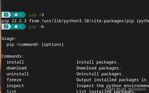 Проверка установленной версии Python