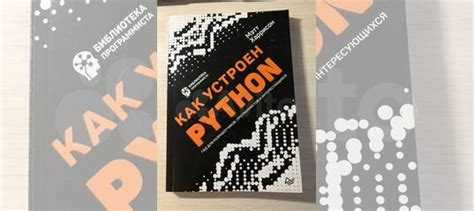 Как Python управляет переменными и областью видимости