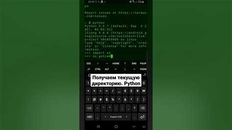 Обработка путей с помощью undefinedpathlib</code>