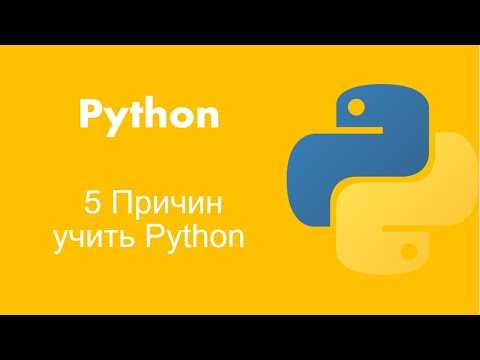 Простые проекты для старта: как не потеряться в коде