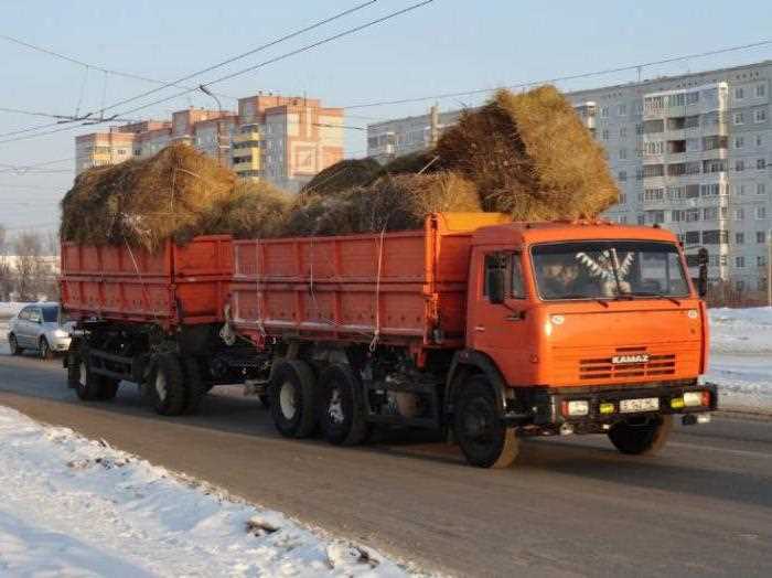 Что проверить при покупке подержанного КАМАЗа сельхозника