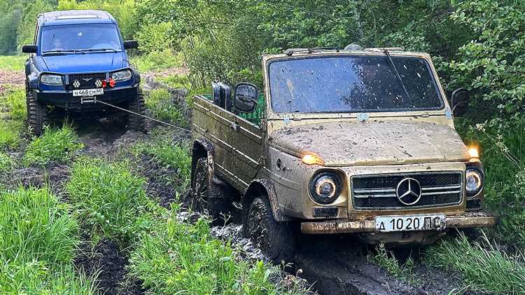 От чего подходят пыльники на луаз