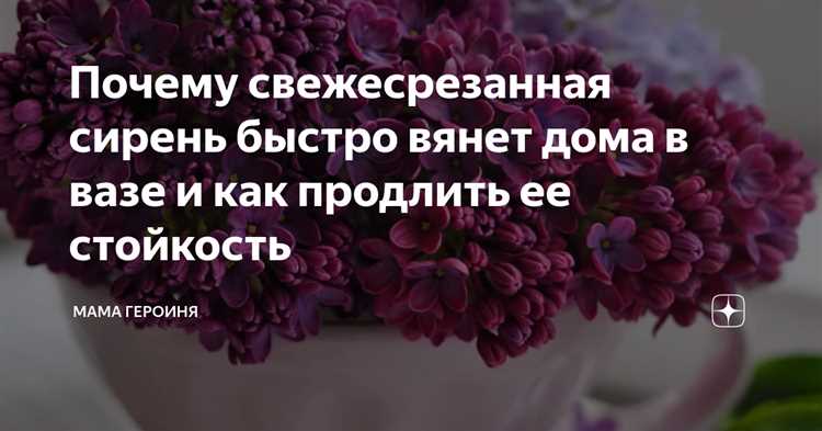 Влияние загрязненной воды на срок жизни цветов