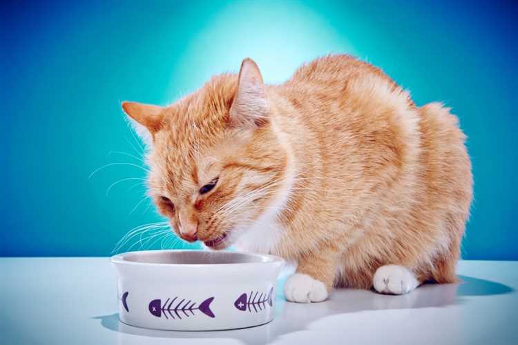 Почему коты так часто опрокидывают предметы на столах?