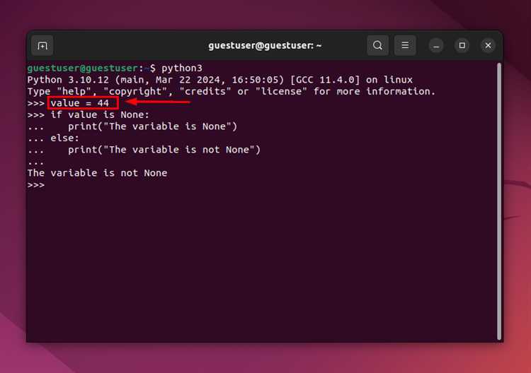 Что означает None в Python и когда оно появляется?