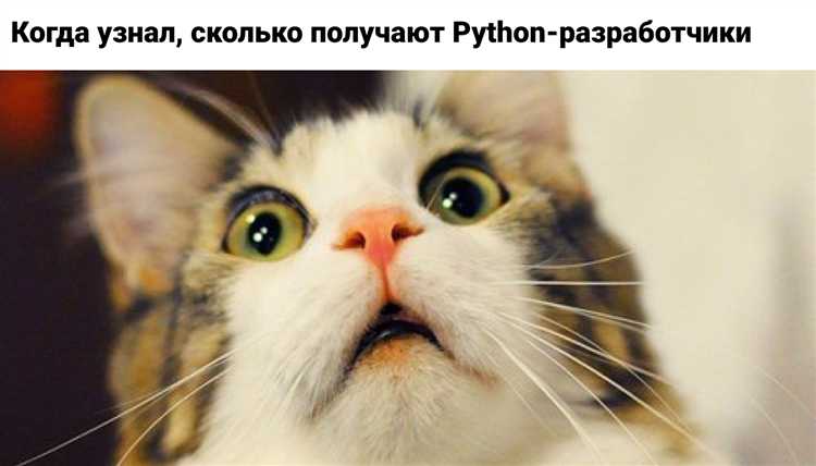 Почему за python так много платят