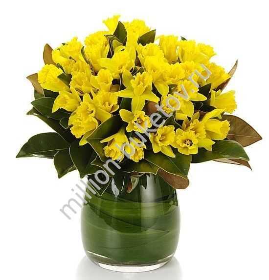 Что нужно учитывать при заказе срезанных нарциссов оптом?