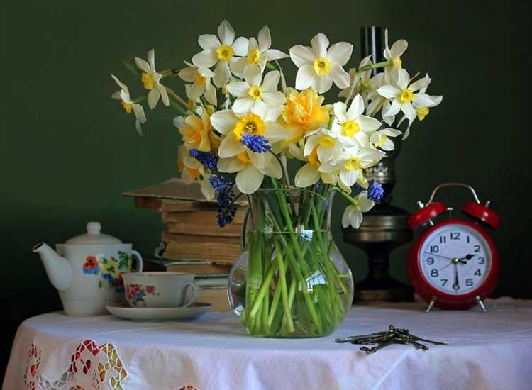 Разница в стоимости нарциссов в зависимости от региона