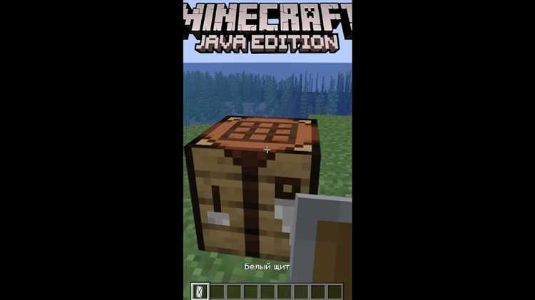 Сравнение кроссплатформенности: Java vs Bedrock