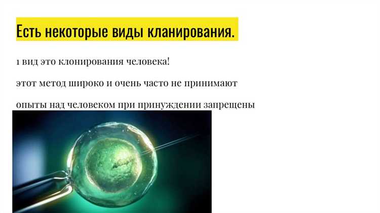 3. Использование библиотек