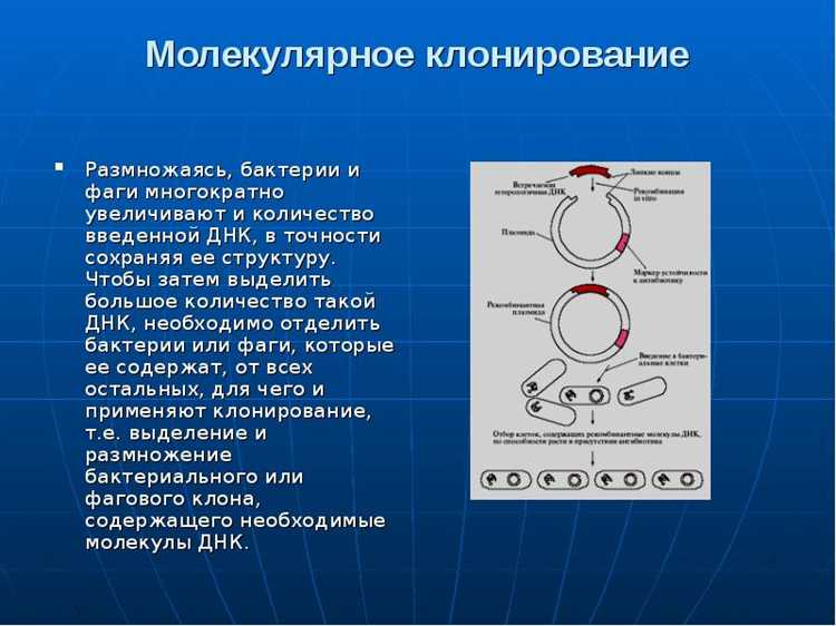 1. Клонирование стандартных коллекций