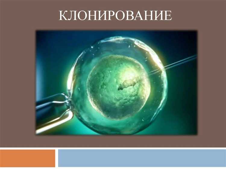 Работа с глубоким и поверхностным клонированием в Java