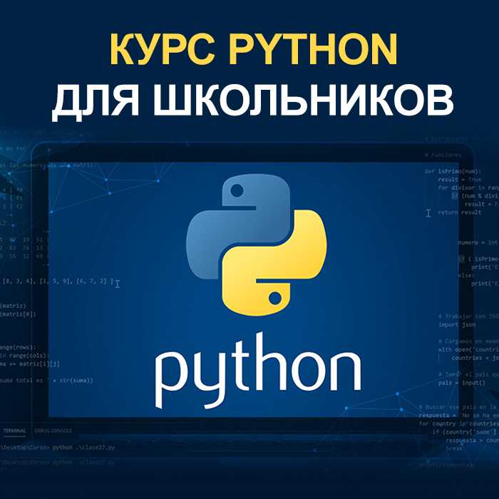 Выбор между короткими интенсивами и долгосрочными программами
