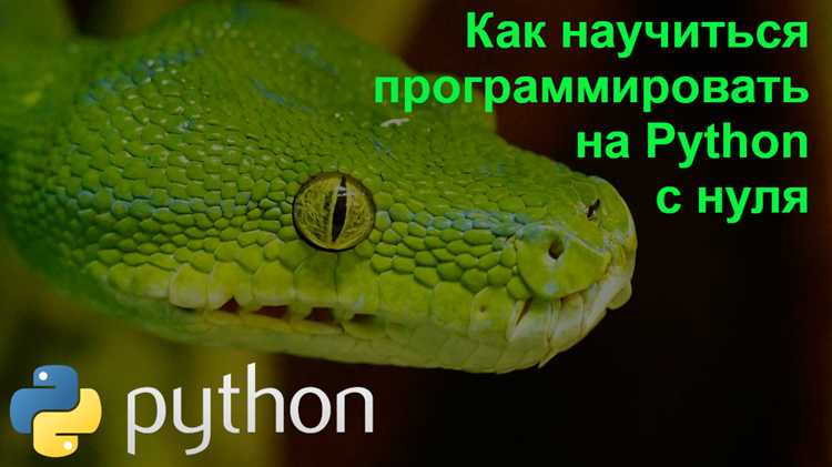 Что нужно выучить в первую очередь: переменные, циклы и условия